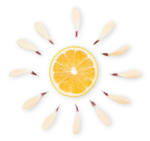 natural young skin by kim - zonder chirurgie